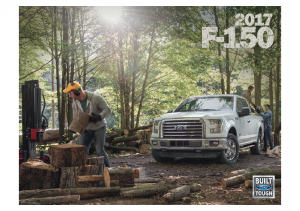 2017 Ford F150