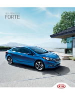 2014 Kia Forte