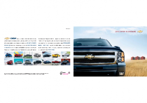 2010 Chevrolet Silverado