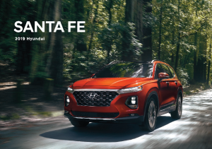 2019 Hyundai Santa Fe