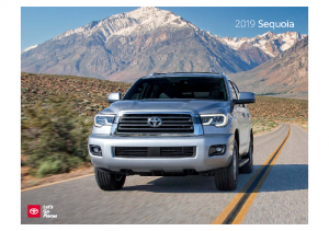 2019 Toyota Sequoia