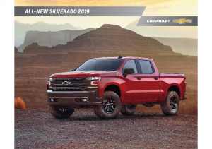 2019 Chevrolet Silverado 1500