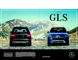 2017 Mercedes Benz GLS