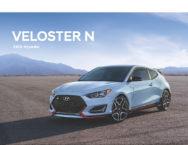 2019 Hyundai Veloster N