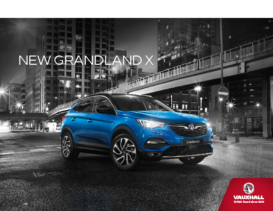 2019 Vauxhall Grandland X