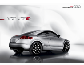 2010 Audi TT TTS