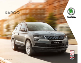 2019 Skoda Karoq