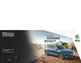 2017 Skoda Kodiaq Scout