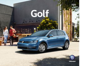 2020 VW Golf V1