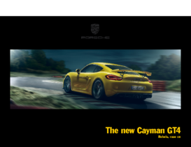 2015 Porsche Cayman GT4 V2