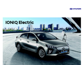 2021 Hyuinda Ioniq Electric ID