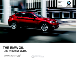 2011 BMW X6