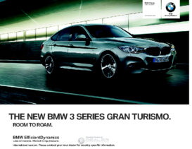 2013 BMW 3 Series Gran Turismo