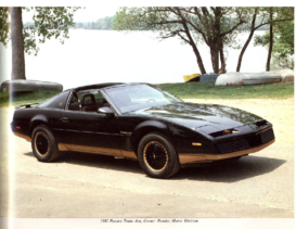 1982 Pontiac Firebird Trans Am Recaro