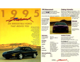 1995 Pontiac Firehawk FIrebird