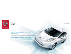 2014 Nissan Leaf