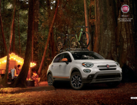 2021 Fiat 500X Accessories