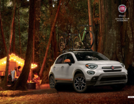 2020 Fiat 500X Accessories