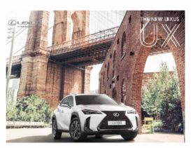 2020 Lexus UX ID