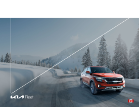 2022 Kia Fleet Guide CN