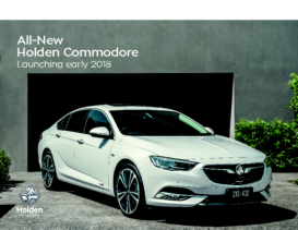 2017 Holden Commodore AU