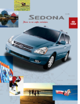 2009 Kia Sedona CN