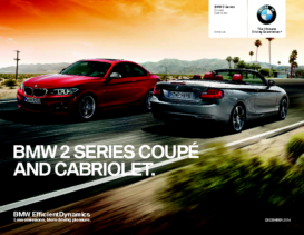 2015 BMW 2 Series CN