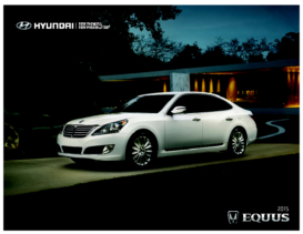 2015 Hyundai Equus CN