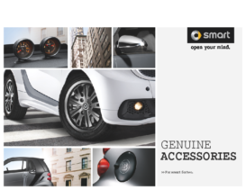 2012 Smart Fortwo Accessories