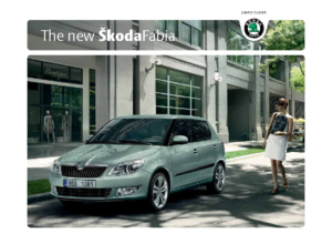 2010 Skoda Fabia UK