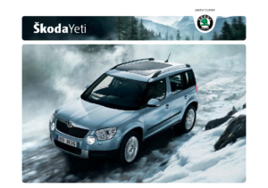 2010 Skoda Yeti UK