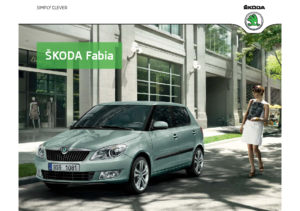 2011 Skoda Fabia UK