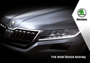 2017 Skoda Kodiaq Flyer UK