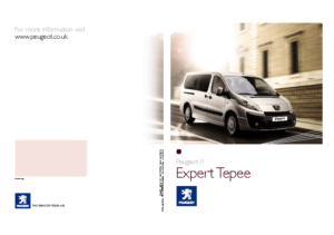 2007 Peugeot Expert Tepee UK