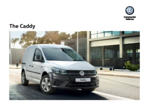 2019 VW Caddy Van UK