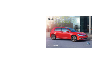 2019 VW Golf V2 MX