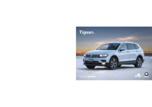 2019 VW Tiguan MX