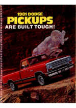 1981 Dodge Pickups CN