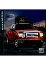 2009 Ford F-150 Dealer