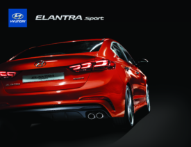 2017 Hyundai Elantra Sport CAN